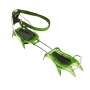 Envy Green