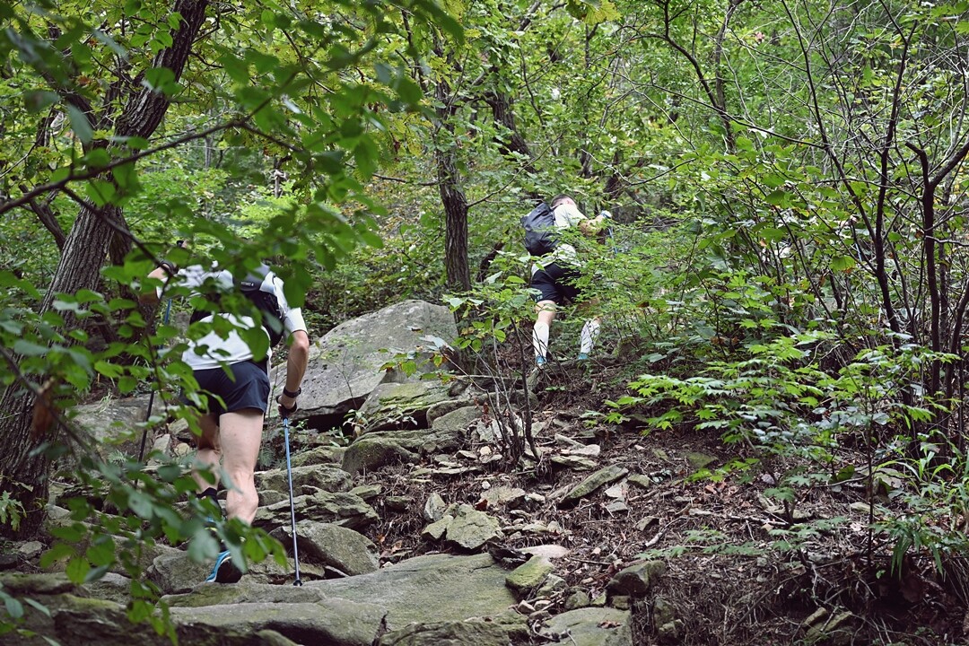 산업용과 등반용 카라비너 비교