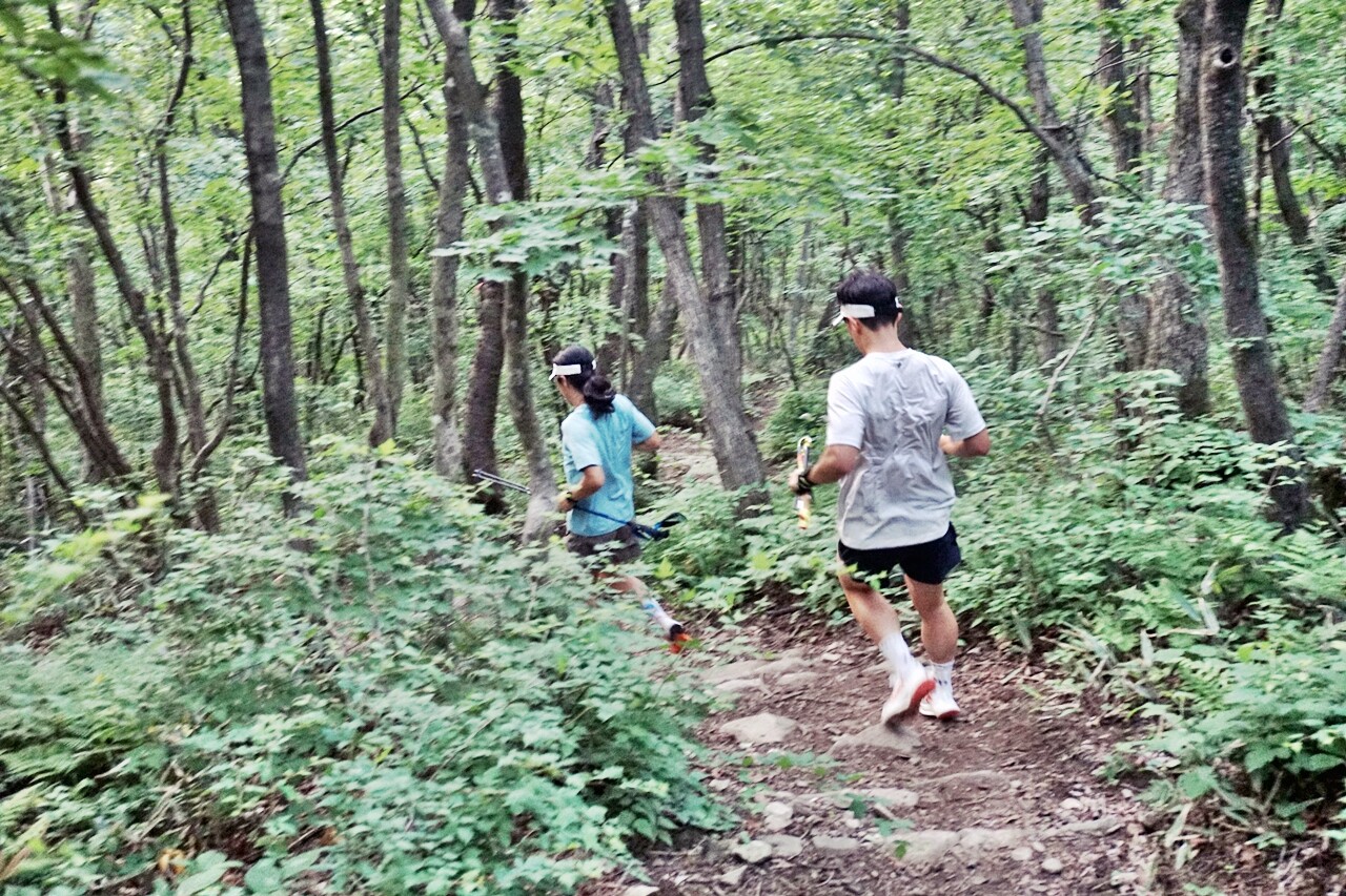 산업용과 등반용 카라비너 비교